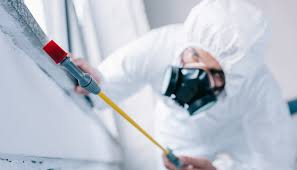 Best Pest Prevention Services  in Indian Shores, FL